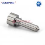 Common-Rail-Nozzle-L079PBD-for-FORD (5).JPG